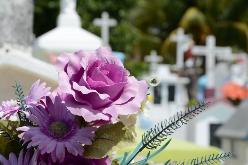 funeraire-LA SEYNE SUR MER-min_cementerio-948048