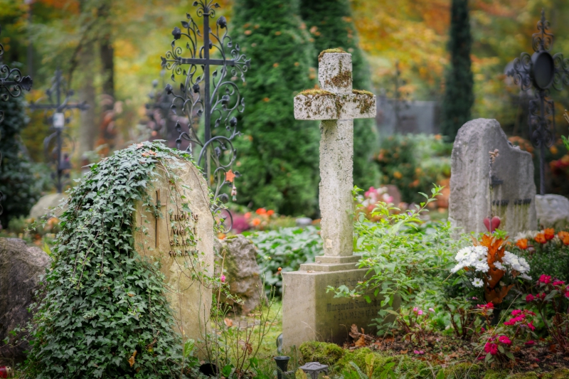 funeraire-LA SEYNE SUR MER-min_cemetery-4653166